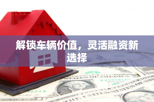 锡林郭勒盟解锁车辆价值，灵活融资新选择