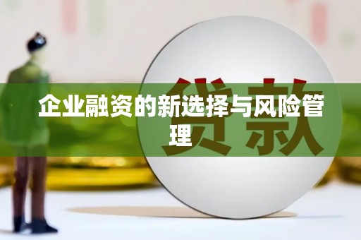 锡林郭勒盟企业融资的新选择与风险管理